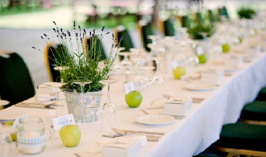 tembusu2 event planner in singapore